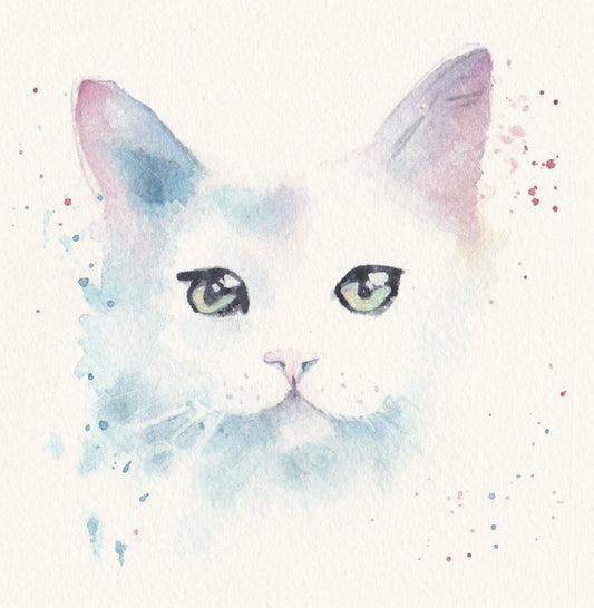 Cute White Cat - Blank Card